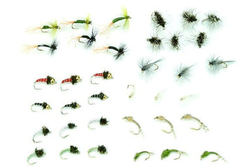 Midge Life Cycle Assortment 36 - Hazy Fly Fishing