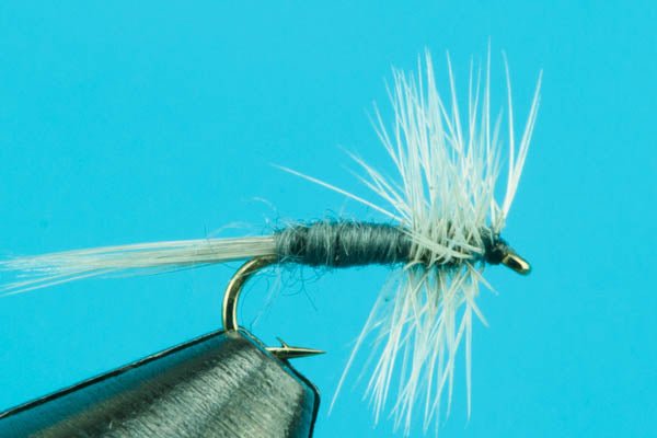 Midges - Hazy Fly Fishing