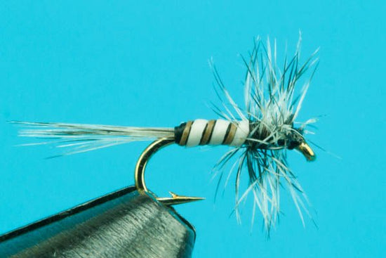 Midges - Hazy Fly Fishing