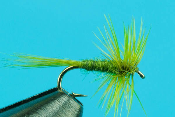Midges - Hazy Fly Fishing
