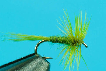 Midges - Hazy Fly Fishing