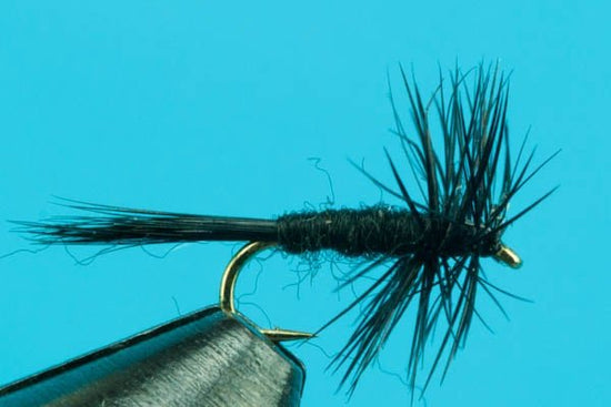 Midges - Hazy Fly Fishing