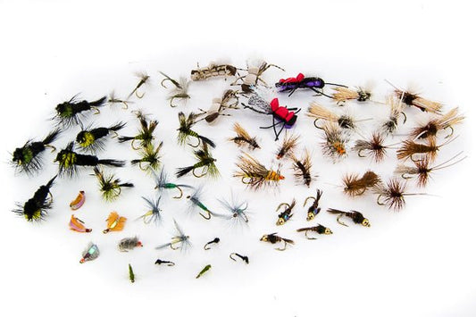 Montana Fly Assortment - 36 Flies 37 - Hazy Fly Fishing