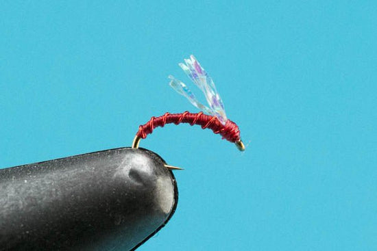 Montana Midge - Hazy Fly Fishing