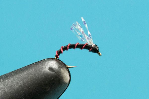 Montana Midge - Hazy Fly Fishing