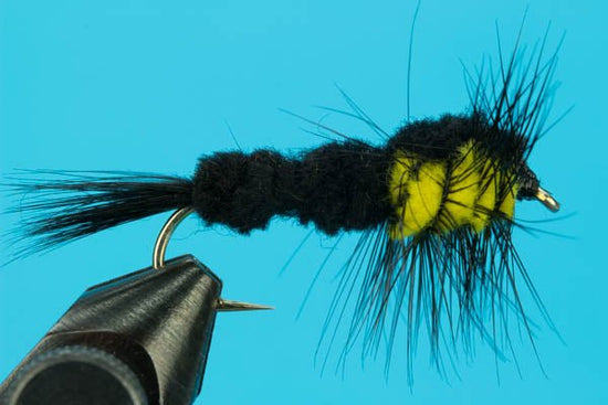 Montana Stonefly - Hazy Fly Fishing