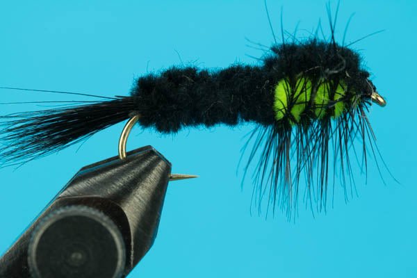 Montana Stonefly - Hazy Fly Fishing