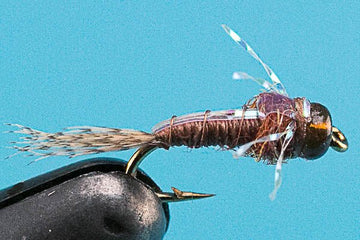 Moonshine Mayfly - Beadhead - Hazy Fly Fishing
