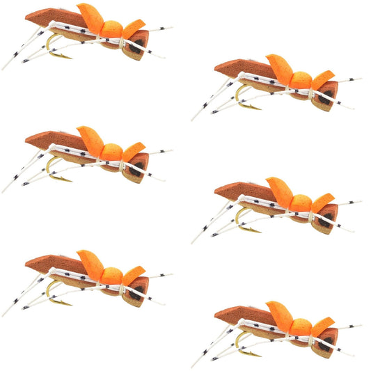 Moorish Hopper Brown Tan Foam Body Grasshopper Fly - 6 Flies Hook Size 10 - Hazy Fly Fishing