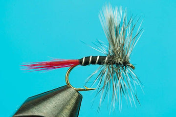 Mosquito Red - Tail - Hazy Fly Fishing