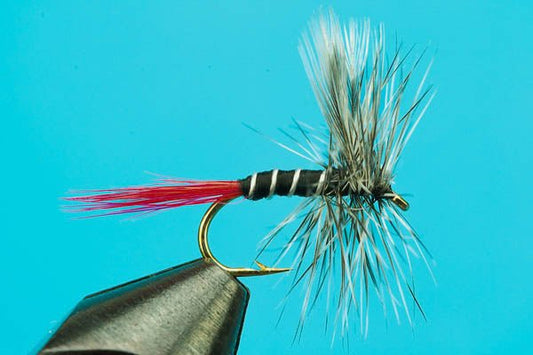 Mosquito Red - Tail - Hazy Fly Fishing