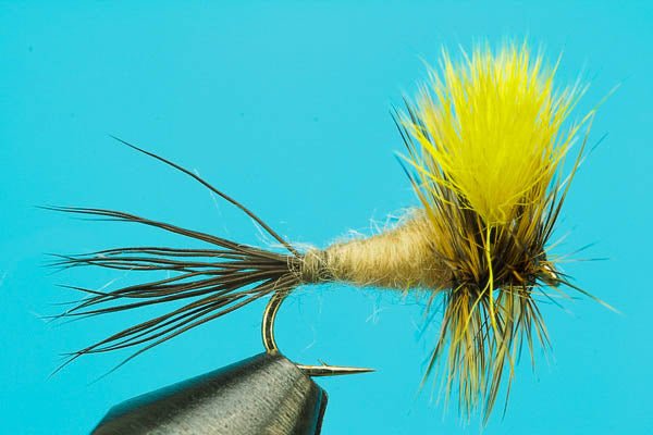 Mr. Rapidan - Hazy Fly Fishing