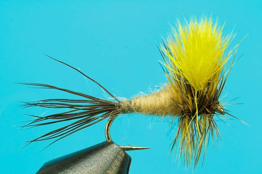 Mr. Rapidan - Hazy Fly Fishing