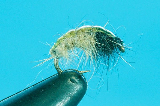 Natural Caddis - Hazy Fly Fishing