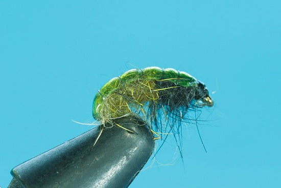 Natural Caddis - Hazy Fly Fishing