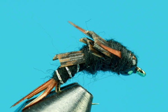 North Fork Special - Beadhead - Hazy Fly Fishing
