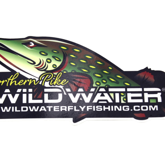 Northern Pike Sticker | Wild Water Fly Fishing - Hazy Fly Fishing