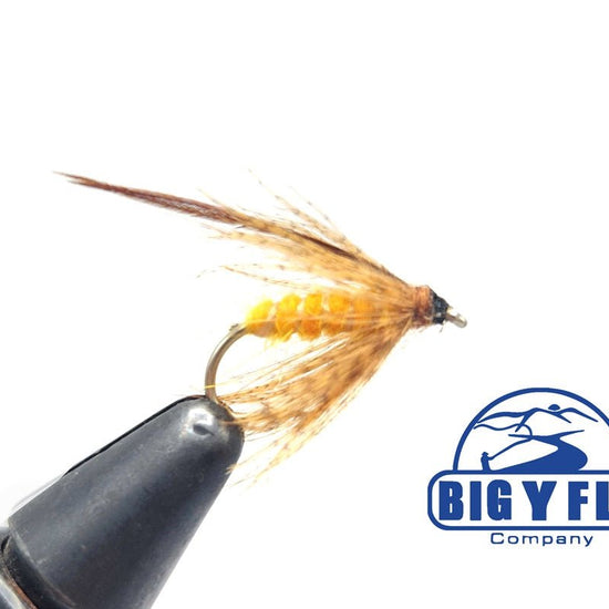 October Caddis Pupa - Hazy Fly Fishing