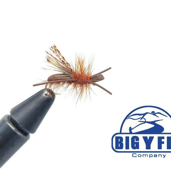 October Foamback - By Cade Cummings - Hazy Fly Fishing