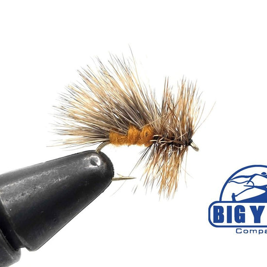 Octobus October Caddis - Hazy Fly Fishing