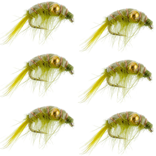 Olive Beaded Shrimp Scud Pattern - 6 Flies - Size 12 - Tailwater Lake Fly Fishing Nymph Flies - Hazy Fly Fishing