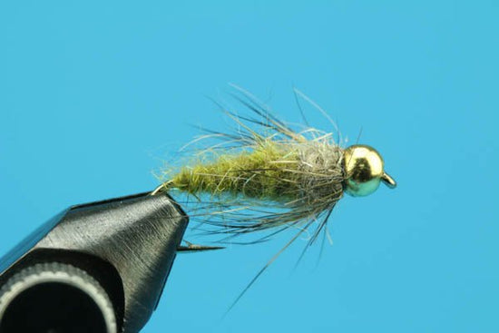 Olive Caddis - Beadhead - Hazy Fly Fishing