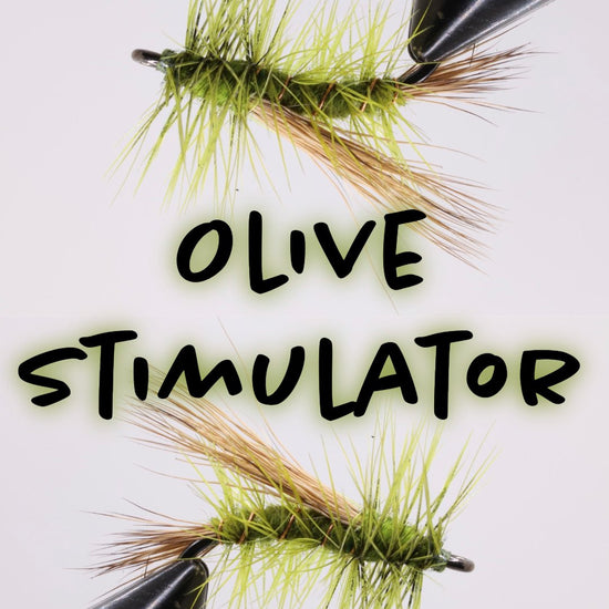 Olive Stimulator - Hazy Fly Fishing