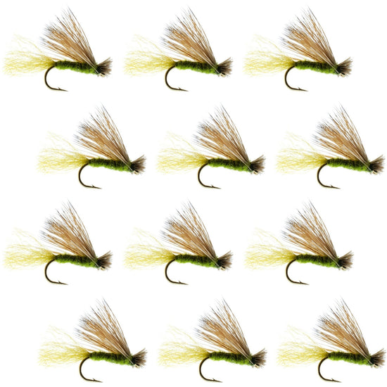 Olive X Caddis Emerging Caddis Adult Trout Dry Fly - 1 Dozen Flies Hook Size 16 - Hazy Fly Fishing