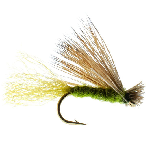 Olive X Caddis Emerging Caddis Adult Trout Dry Fly - 6 Flies Hook Size 16 - Hazy Fly Fishing