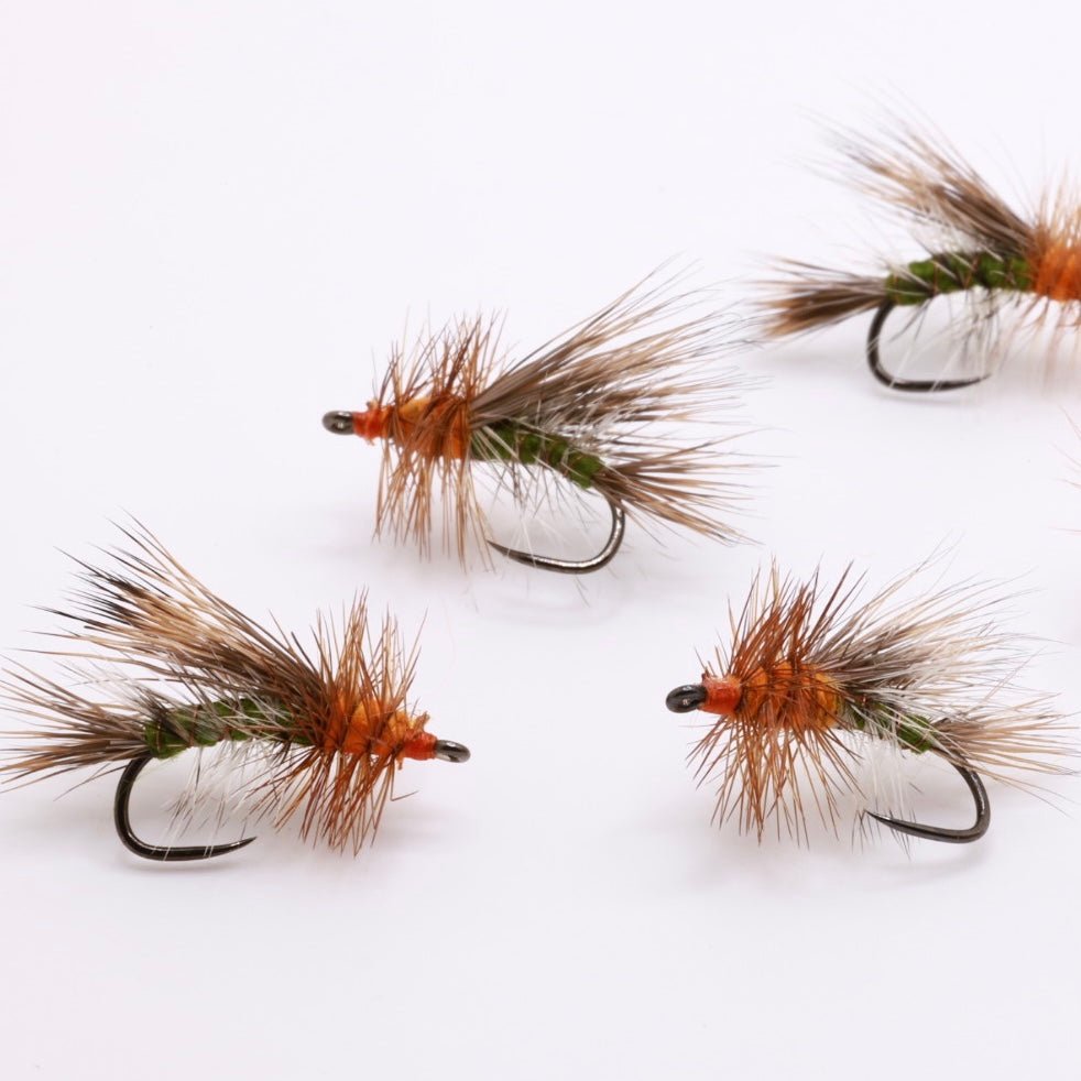 Olive/Orange Stimulator - Hazy Fly Fishing