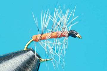 Orange Asher - Hazy Fly Fishing