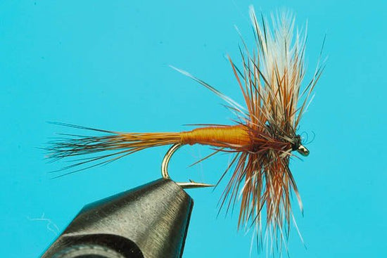 Orange Snipe - Hazy Fly Fishing
