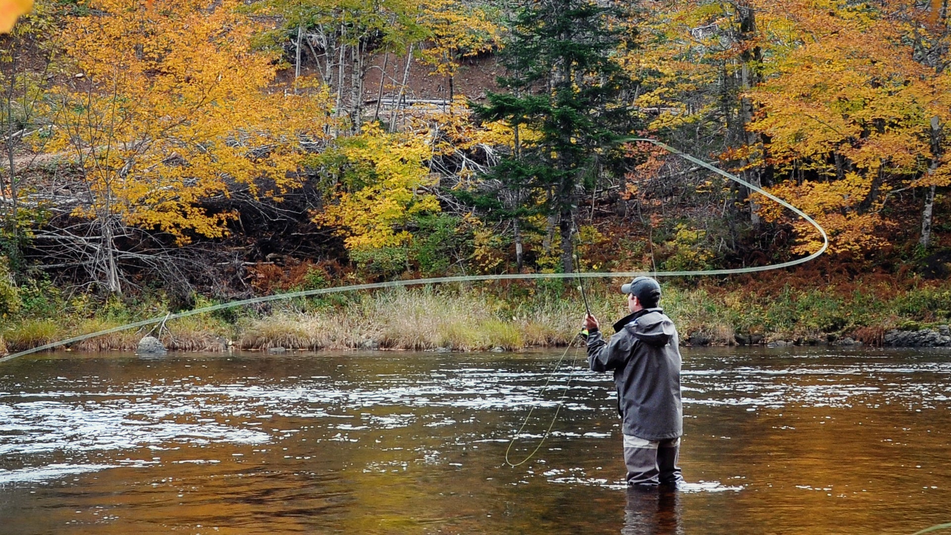 Pale Morning Dun PMD Classic Dry Fly - 6 Flies Hook Size 14 - Hazy Fly Fishing