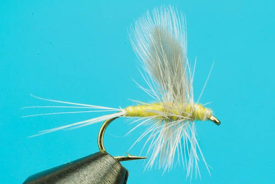 Pale Morning Dun Thorax - Hazy Fly Fishing