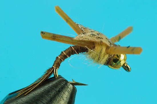 Panty Dropper - Beadhead - Hazy Fly Fishing