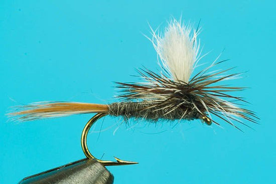 Parachute Adams - Hazy Fly Fishing