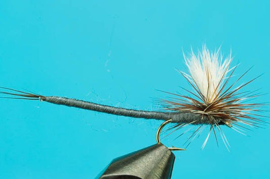 Parachute Adams Extended Body - Hazy Fly Fishing