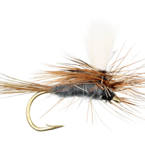 Parachute Adams, Size 12 | Qty. 6 | Wild Water Fly Fishing - Hazy Fly Fishing
