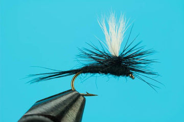 Parachute Black Gnat - Hazy Fly Fishing