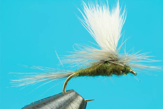 Parachute Blue Wing Olive - Hazy Fly Fishing