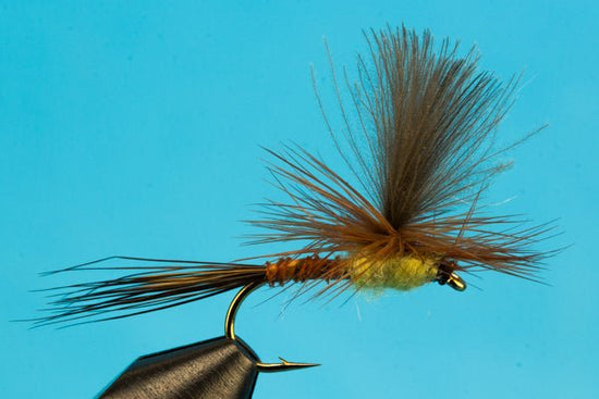 Parachute Brown Drake - Hazy Fly Fishing
