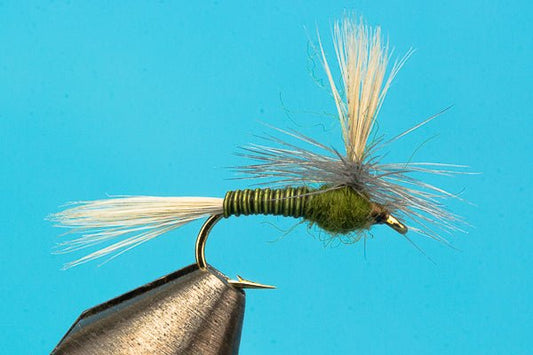 Parachute BWO Quill Body - Hazy Fly Fishing