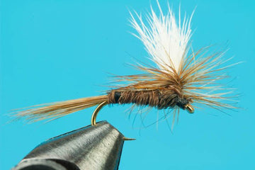 Parachute Pheasant Tail - Hazy Fly Fishing