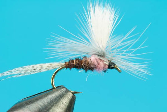 Parachute Pink Albert - Hazy Fly Fishing