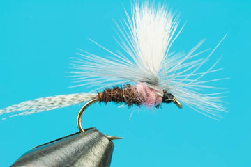 Parachute Pink Albert - Hazy Fly Fishing