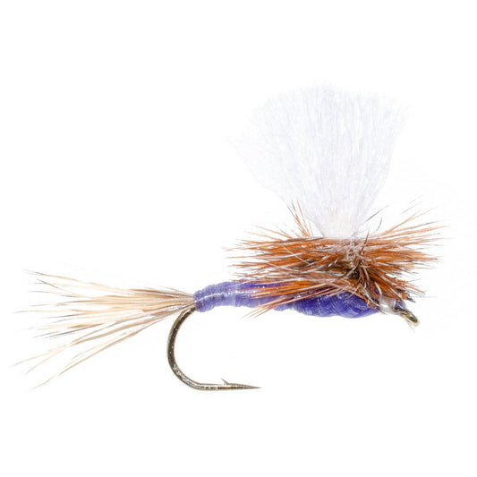 Parachute Purple Haze Dry Fly - 6 Flies Size 16 - Hazy Fly Fishing