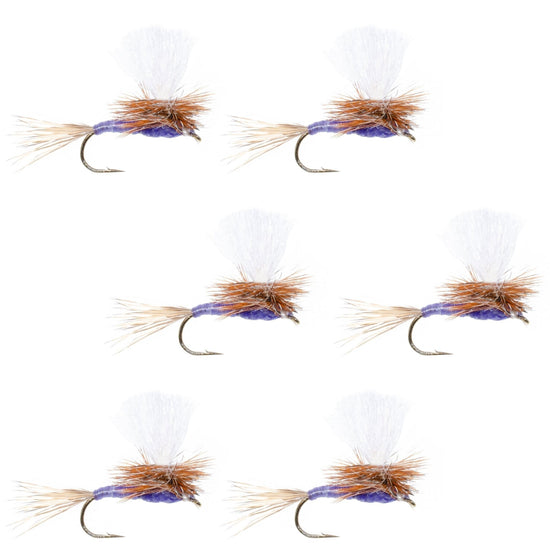 Parachute Purple Haze Dry Fly - 6 Flies Size 16 - Hazy Fly Fishing