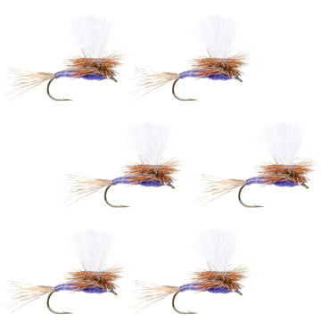 Parachute Purple Haze Dry Fly - 6 Flies Size 16 - Hazy Fly Fishing
