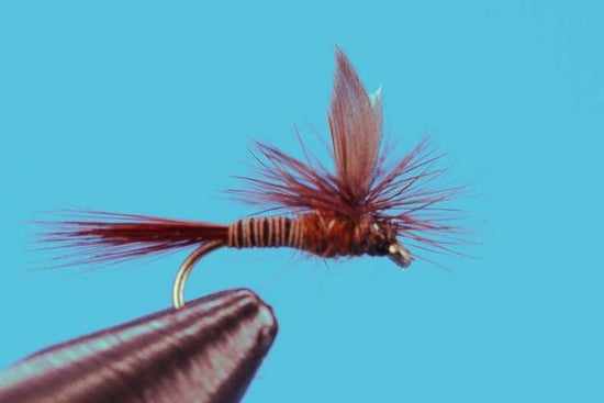 Parachute Red Quill - Hazy Fly Fishing