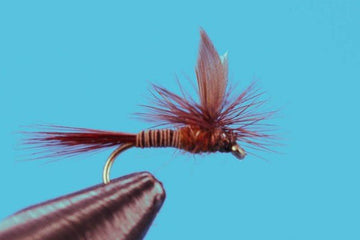 Parachute Red Quill - Hazy Fly Fishing
